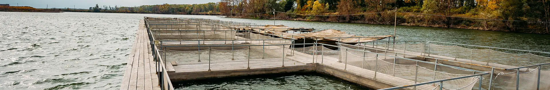 Cages for aquaculture and fish farming - Cod. CAGESQUARE